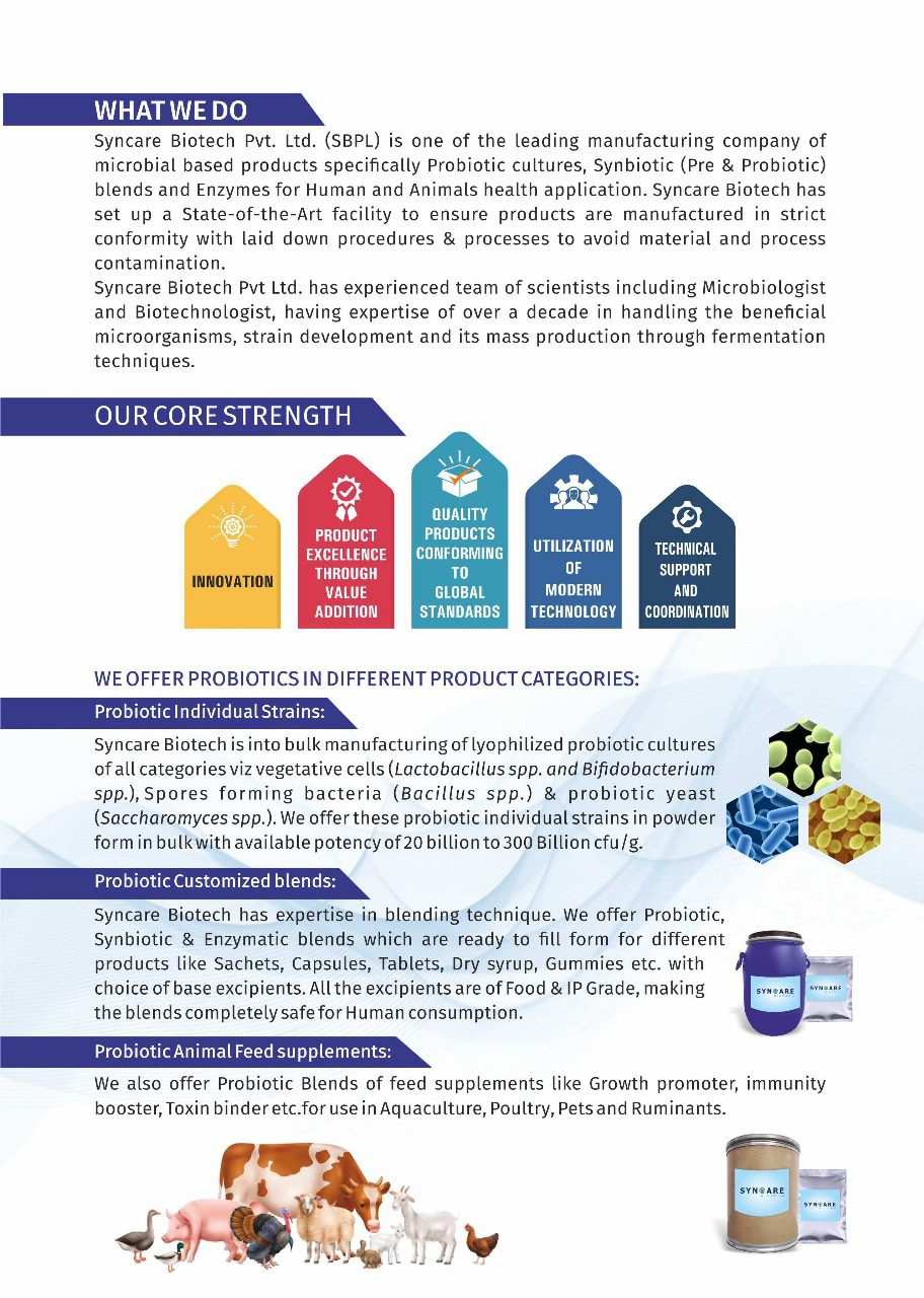 Brochure Page -2