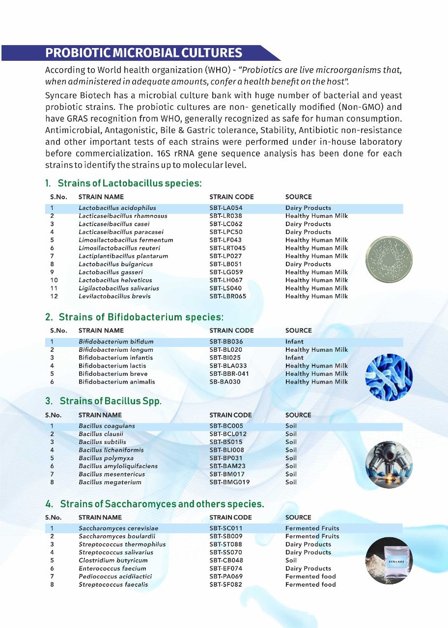 Brochure Page -3